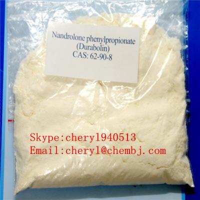 Nandrolone phenylpropionate  CAS : 62-90-8 ()
